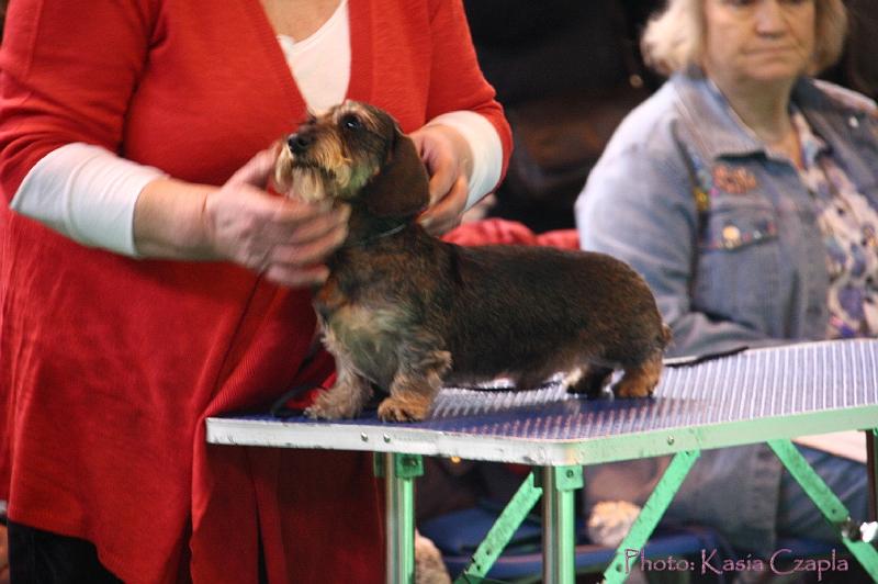 Crufts2011_2 615.jpg